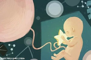 本院简介